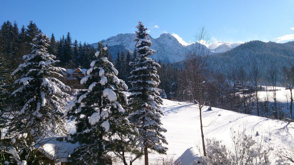 Villa Tatrydom Zakopane Phòng bức ảnh