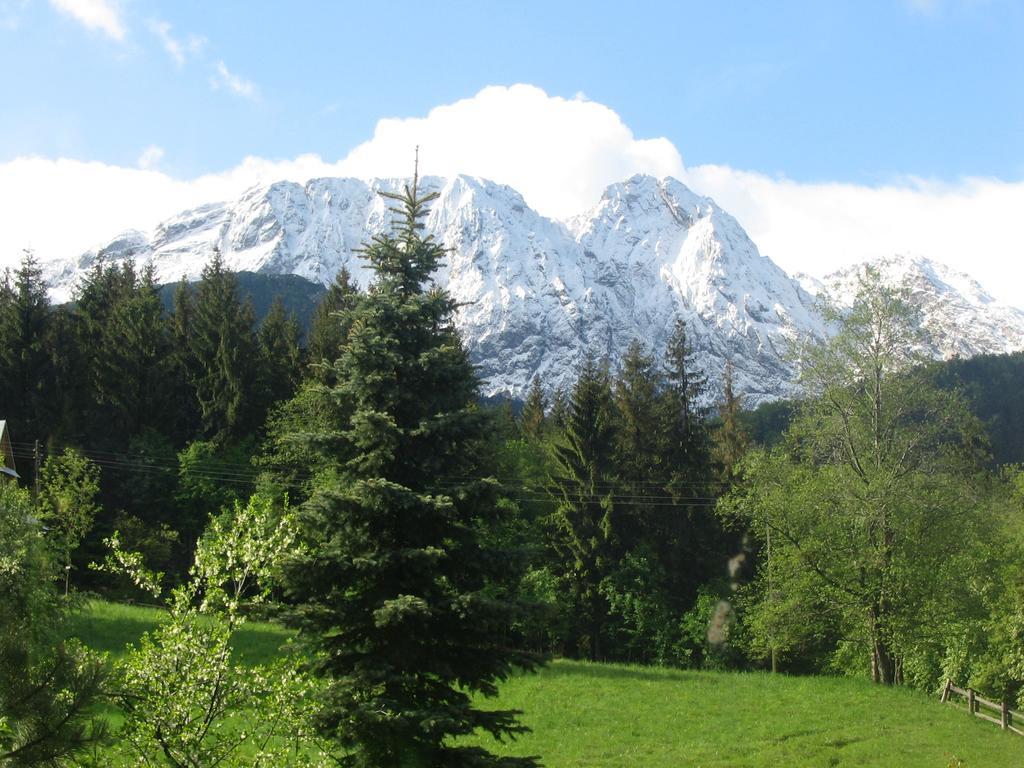 Villa Tatrydom Zakopane Ngoại thất bức ảnh